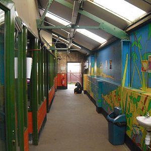 Animal Building - 16/10/2011