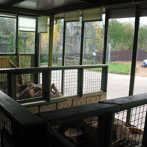 Rabbit Enclosures - 16/10/2011
