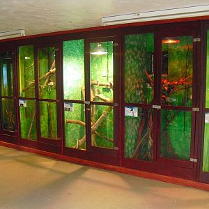 Reptile Displays - 16/10/2011