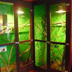 Reptile Displays - 16/10/2011