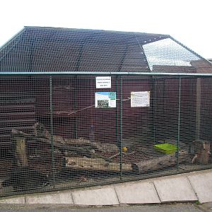 Atrocious Racoon Cage - 16/10/2011