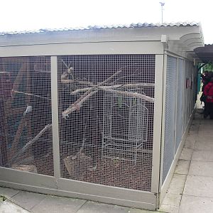 Bird Aviary - 16/10/2011