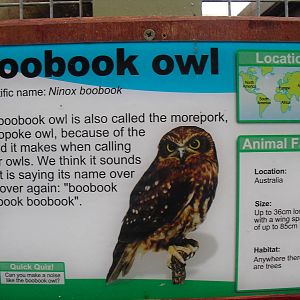 Example Signage (Boobook Owl) - 16/10/2011