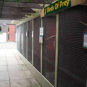 Bird of Prey Aviaries - 16/10/2011