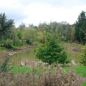 Pond - 16/10/2011