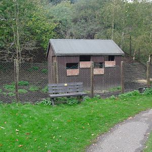 Sika Deer Enclosure - 16/10/2011