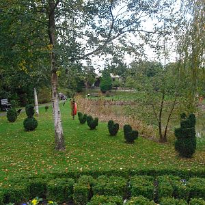 Topiary - 16/10/2011