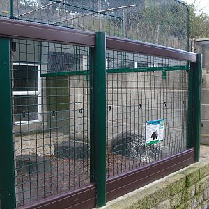 South African Porcupine Enclosure - 16/10/2011