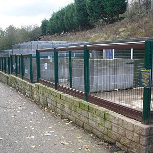 Animal Enclosures - 16/10/2011
