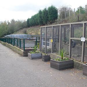 Animal Enclosures - 16/10/2011