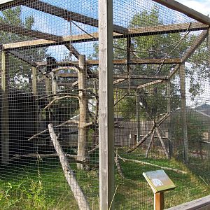 Riverside Zoo - Mantled Guereza Exhibit