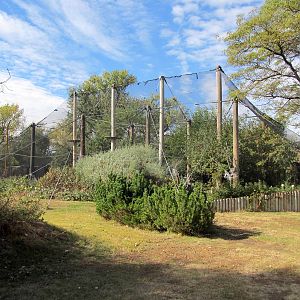 Riverside Zoo - Aviary