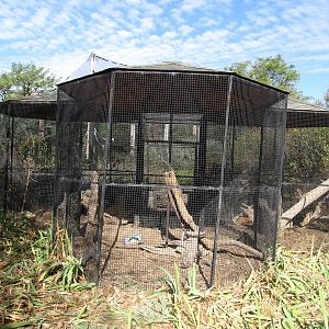 Riverside Zoo - American Badger and Yellow-bellied Marmot Exhibits