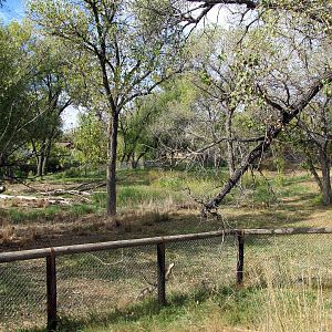 Riverside Zoo - Wild Turkey Exhibit