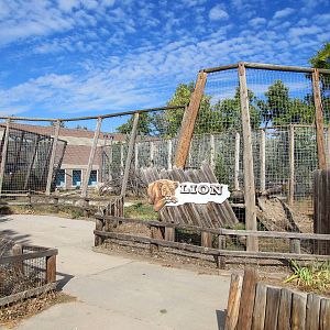Riverside Zoo - Lion Exhibit