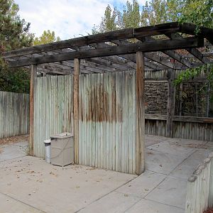 Riverside Zoo - Raccoon and Striped Skunk/American Crow/Black-crowned Night