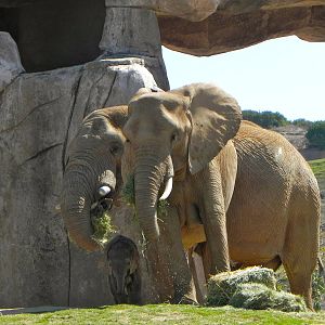 Mom, Dad and new baby