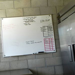 Behind the Scenes Safari Cats and Critters