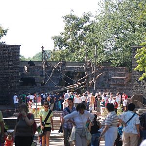 Bear Castle at Leipzig, 03/09/11