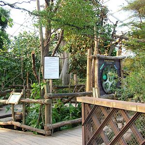 Squirrel Monkey Island - Gondwanaland, Leipzig, 03/09/11