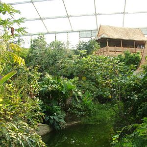 Gondwanaland, Leipzig, 03/09/11