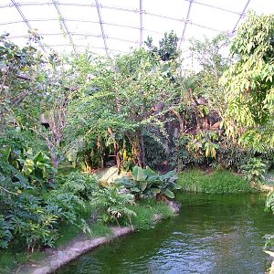 Gondwanaland, Leipzig, 03/09/11