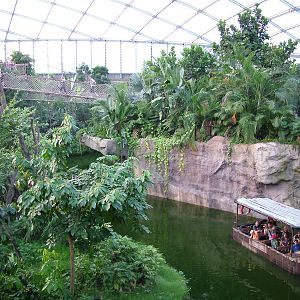 Gondwanaland, Leipzig, 03/09/11