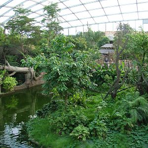 Gondwanaland, Leipzig, 03/09/11