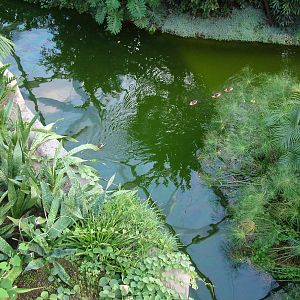 Gondwanaland, Leipzig, 03/09/11