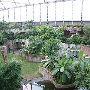 Gondwanaland, Leipzig, 03/09/11