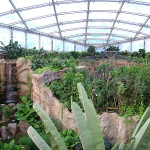 Gondwanaland, Leipzig, 03/09/11