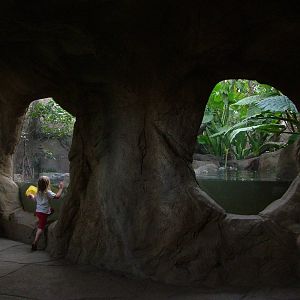 Gondwanaland, Leipzig, 03/09/11