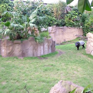 Gondwanaland, Leipzig, 03/09/11