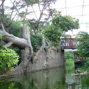 Gondwanaland, Leipzig, 03/09/11