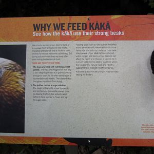 Kaka Signage
