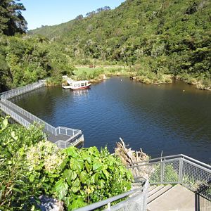 Pontoon, dock and electric boat