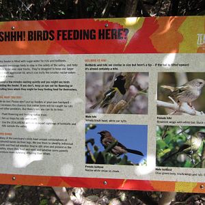 Stitchbird and Bellbird signage