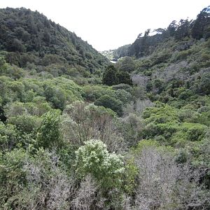 View down the valley from the Dam
