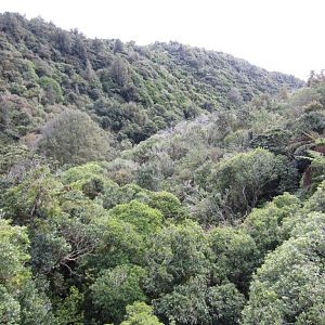 View from Suspension bredge