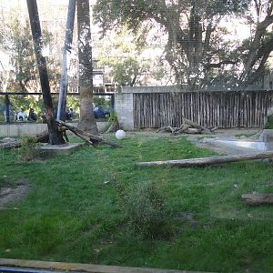 White Tiger exhibit