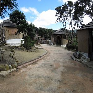 African Village