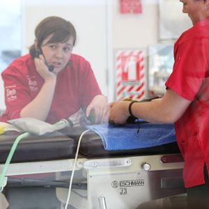 Changing a bandage on a macaw, The Nest