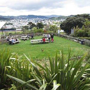 Picnic area with a view