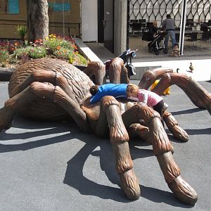 Playground Tarantula