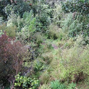 Red Panda enclosure - Panda is visible in top left