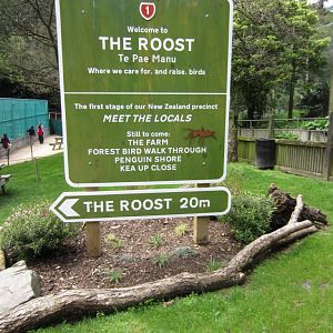 The Roost signage