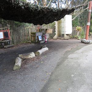 Transport crate display