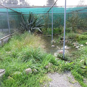 Blue Duck breeding aviaries