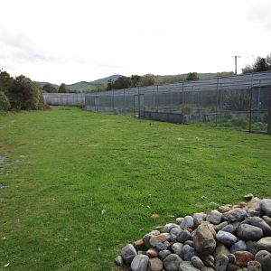 Breeding aviaries for Brown Teal and Shore Plovers
