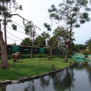 General view over the Tufted Capuchins' (Cebus apella) Island